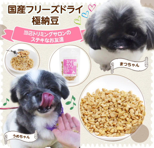 がんこおやじのおやつ亭 国産フリーズドライ極納豆 150g 追跡可能