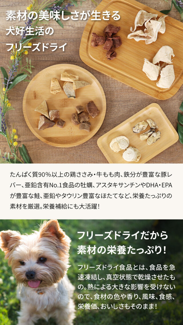 たいぬむなうし 恥ずかしく 