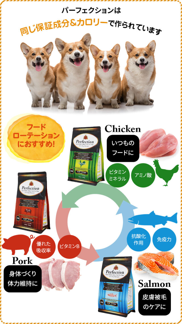 ラスミック ドッグフード パーフェクション ポーク 6kg Amazon.co.jp: ラスミック ドッグフード パーフェクション