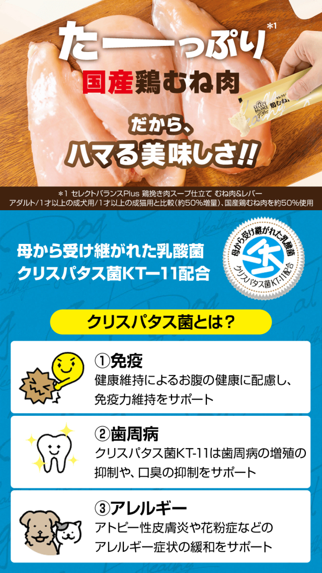セレクトバランス Plus 鶏むね肉ペースト パピー 子犬・母犬用 20g×4本
