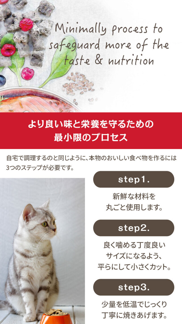 猫用 Sunday Pets サンデーペッツ ジェントルベイク グレインフリー