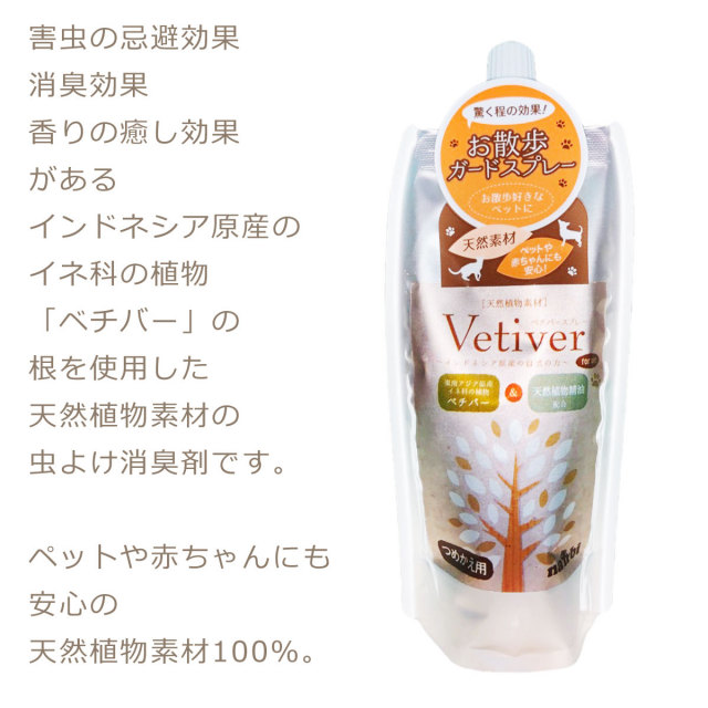 ベチバー　Vetiver『100苗』 ベチバーVetiver『100苗』 【公式通販】