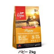 オリジン　パピー　2kg