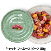 【リニューアル済】テラフェリス　TerraFelis　ファムース　ビーフ　80g
