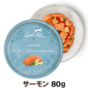 【順次リニューアル変更】テラフェリス　キャット　サーモン80g