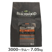 【リニューアル変更済】ブラックウッド　3000　7.05kg