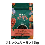 トライバル　フレッシュサーモン　12kg