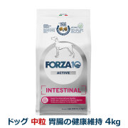 FORZA10　フォルツァディエチ　インテスティナルアクティブ　ミディアム　中粒　4.0kg