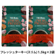 トライバル