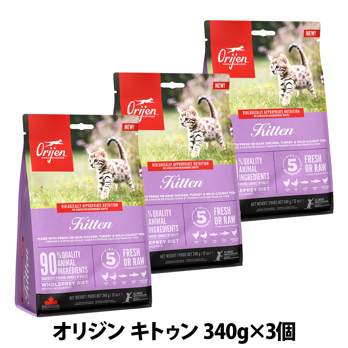 オリジン　キトゥン　340g×3個