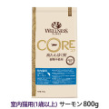 ウェルネス　コア　高たんぱく質・穀物不使用　室内猫用　(1歳以上)　サーモン　800g