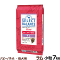 セレクトバランス　パピー　ラム小粒7kg