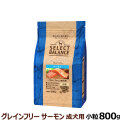 セレクトバランス グレインフリー アダルト サーモン 小粒 800g