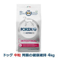 FORZA10　フォルツァディエチ　インテスティナルアクティブ　ミディアム　中粒　4.0kg