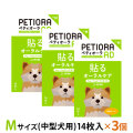 ペティオーラ　AD　デンタルパッチ　Mサイズ×3個セット（8～15kgまでの中型犬用）