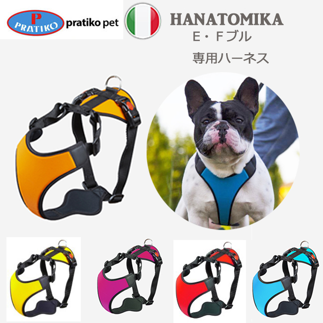【箱付】✨未使用品✨　nach（ナッシュ）アニマルリング 　犬　フレンチブル 箱付】✨未使用品✨ nach（ナッシュ）アニマルリング 犬