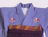WK-F476PU秋桜 紫