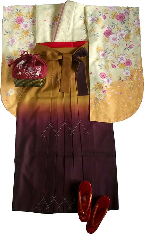 WK-K682CR桜ぼかし　クリーム濃淡　着用例1