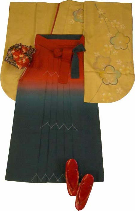 WK-F555YE梅に桜 からし　着用例１