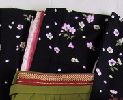 WK-F631BL桜 黒631