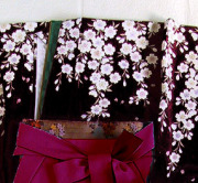 WK-F610BL枝垂れ桜 黒/ピンク