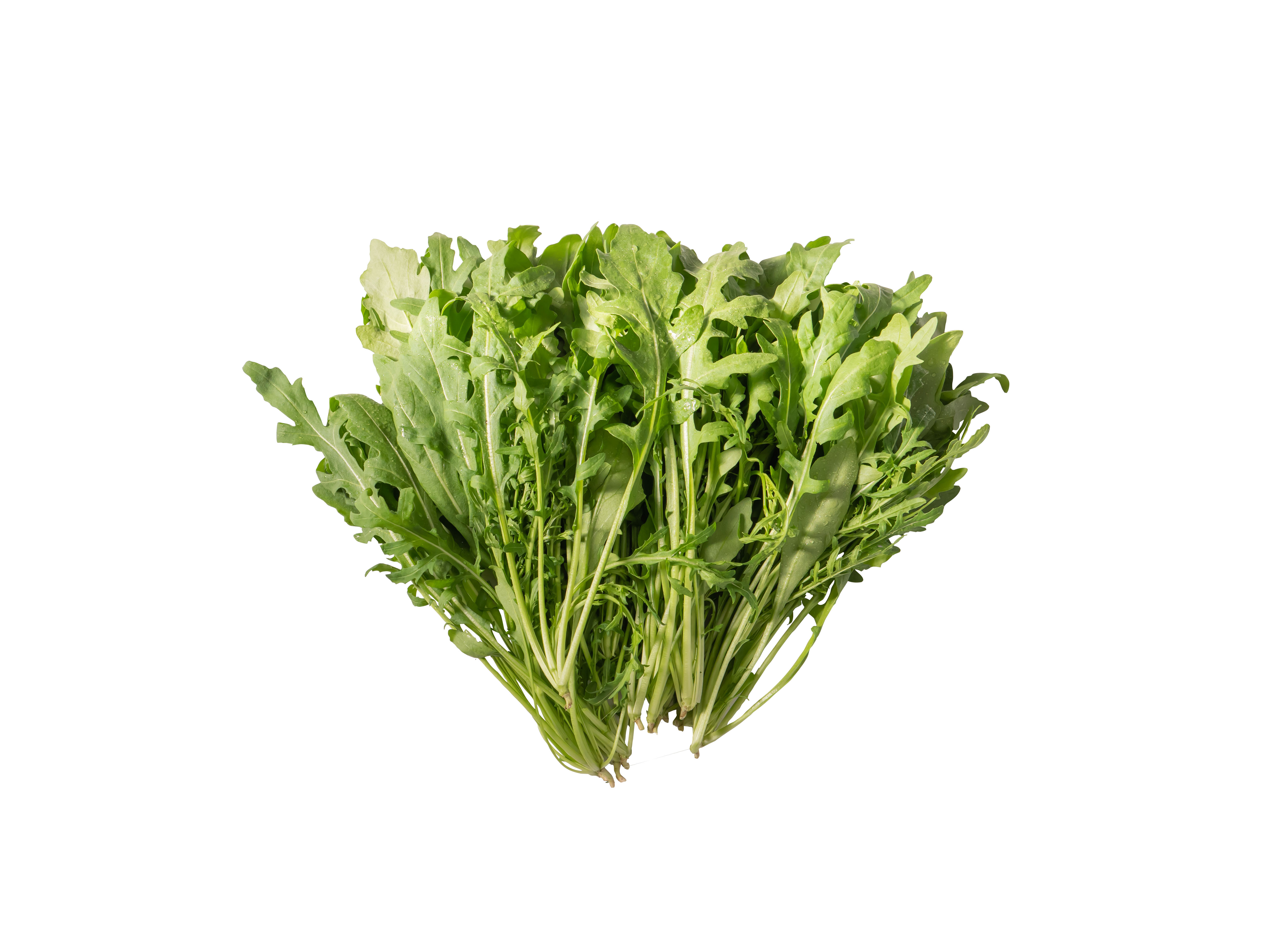 セルバチコ200g