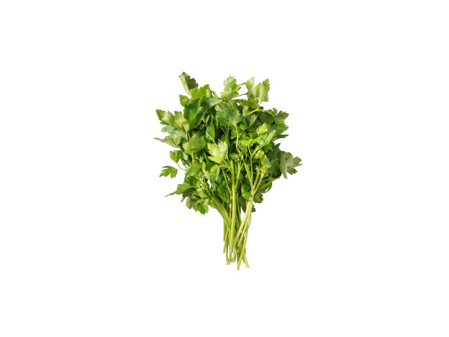 イタリアンパセリ100g