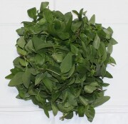 国産タイバジル（ホラパー）(100g)