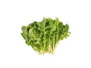 ルッコラ500g