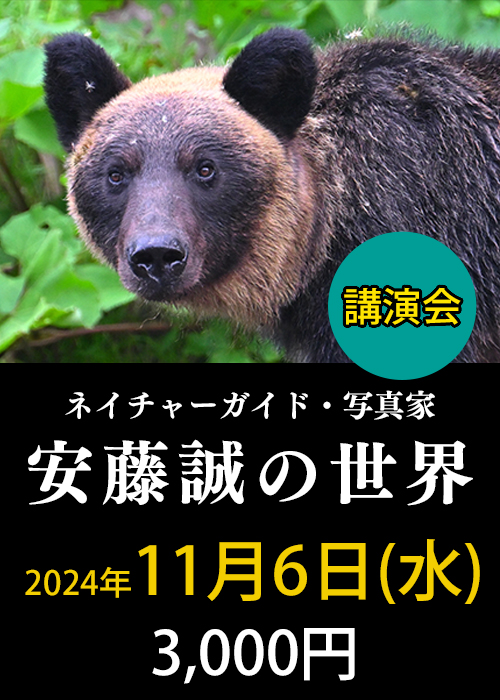 安藤誠　講演会（2024年11月6日) 申し込み