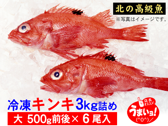 北の高級魚 キンキ 業務用３kg詰め 冷凍 ロシア産 送料無料 ギフト 通販 北の産直 道楽市場