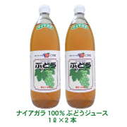 ナイアガラ２本