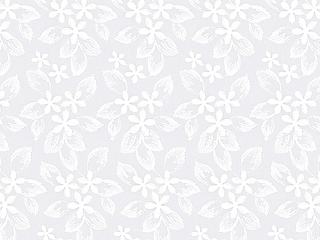 【フレンチ ビンテージ】小花のラメ刺繍のレースカーテン＆シェード【HS-8533】ホワイト