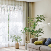 動物デザイン・レースカーテン