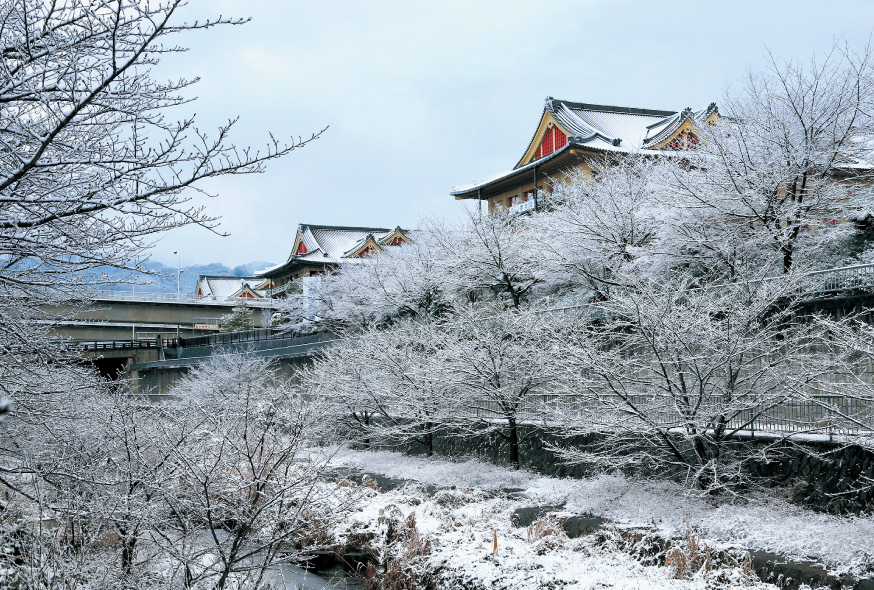 ポストカード2020-6冬の布留川