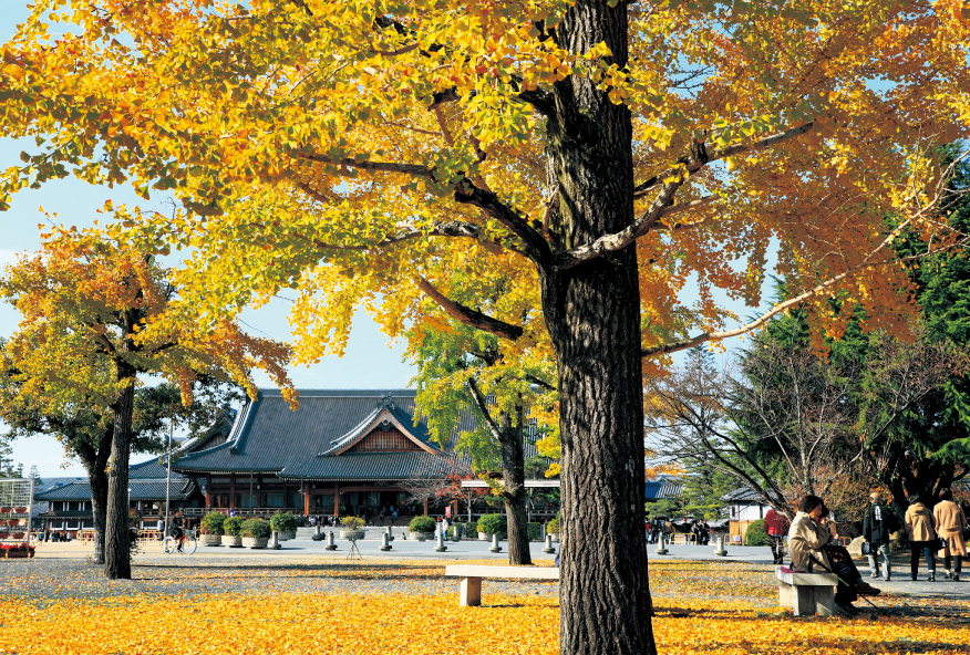 ポストカード2020-8親里の秋