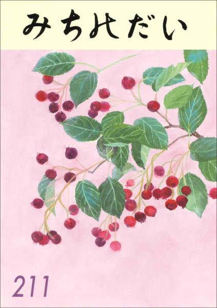 みちのだい　211号