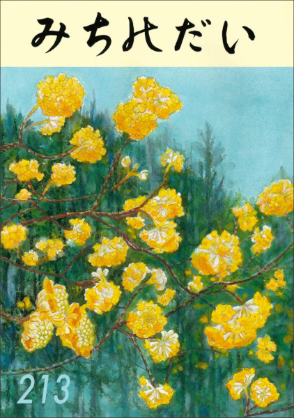 みちのだい　213号