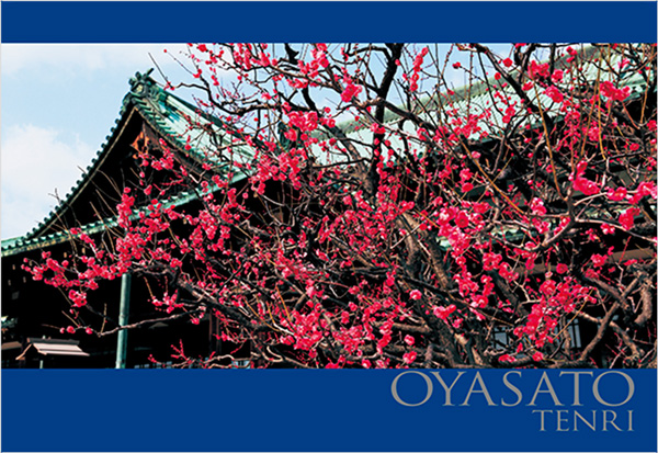 教祖130年祭記念絵はがき8枚セット（おやさと天理）