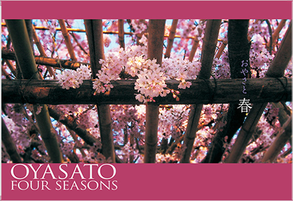 教祖130年祭記念絵はがき8枚セット（おやさと四季八彩）