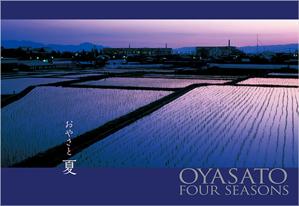 教祖130年祭記念絵はがき8枚セット（おやさと四季八彩）