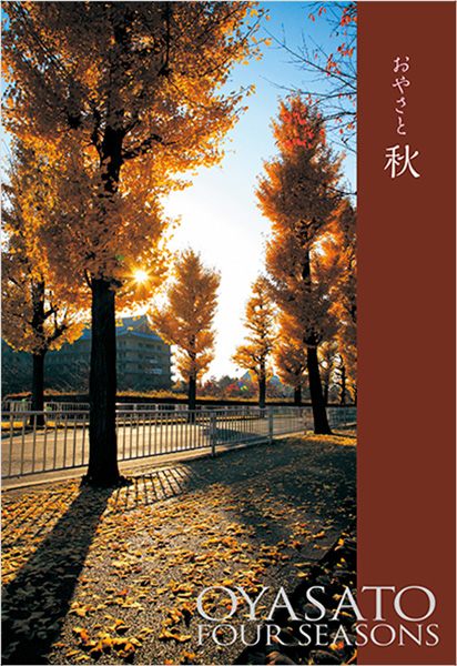 教祖130年祭記念絵はがき8枚セット（おやさと四季八彩）