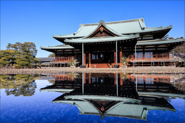 ポストカード2025（5）水鏡に映る教祖殿