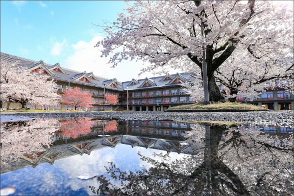 ポストカード2025（7）水面に映るおやさとやかたと桜