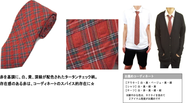 【アップ画像】ネクタイ／サッカーチェック