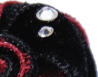 ブートニエール