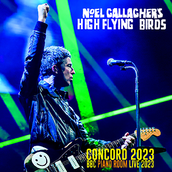 NOEL GALLAGHER DRAGONFLY