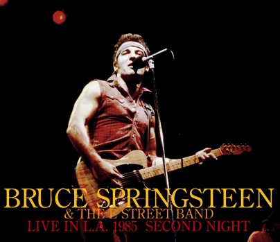 BRUCE SPRINGSTEEN DRAGONFLY