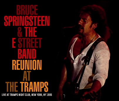 BRUCE SPRINGSTEEN DRAGONFLY