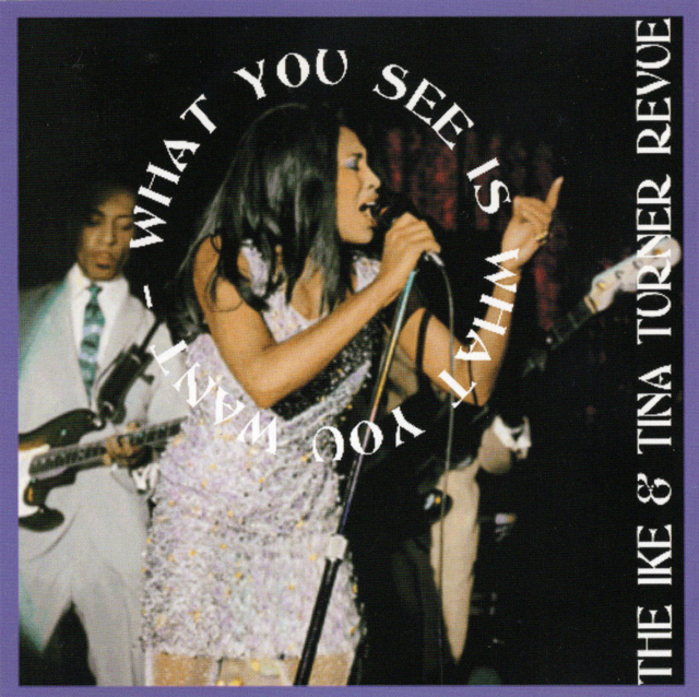 THE IKE & TINA TURNER - WHAT YOU SEE IS WHAT YOU WANT